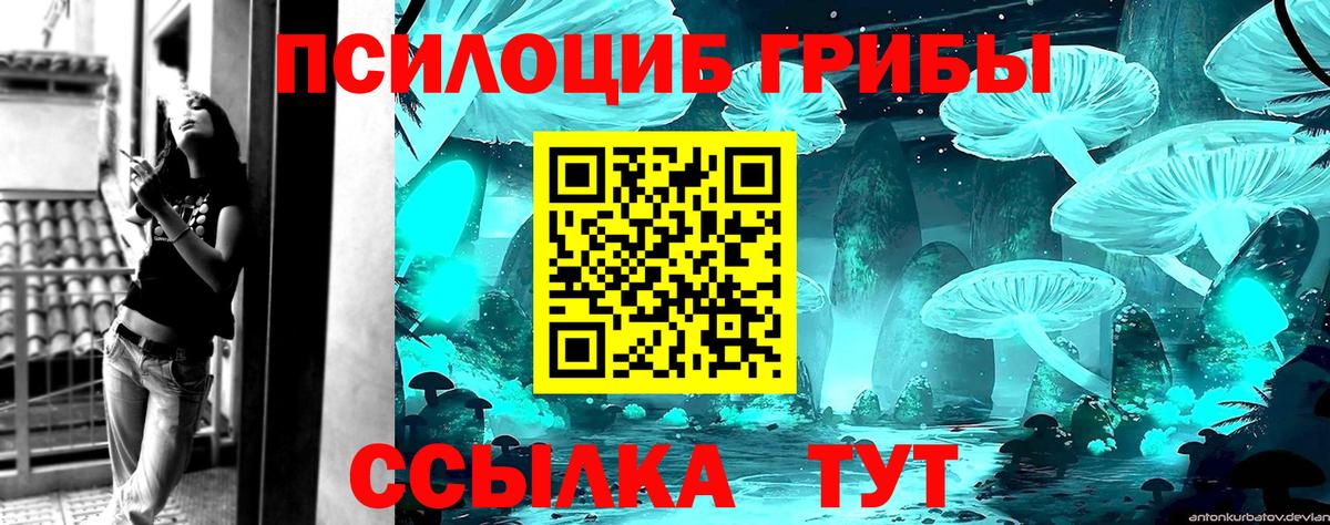 Псилоцибиновые грибы мицелий  Псилоцибиновые грибы Cubensis  Вход с VPN  Советская Гавань 